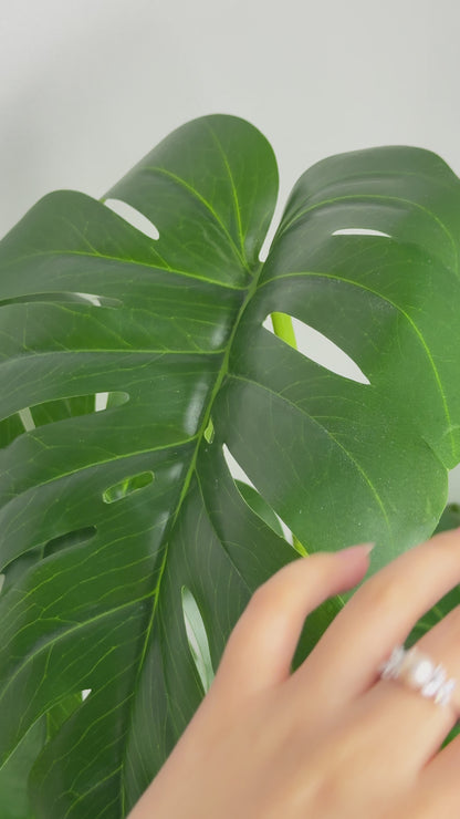 Floral Diamond & Freshwater Pearl Ring